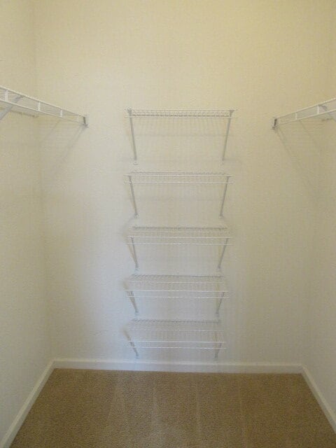 Photo - NEW CARPET NEW PAINT!! Clean and Bright 2BR 2BTH Condo Close To DIA. Gated Community in First Cre...