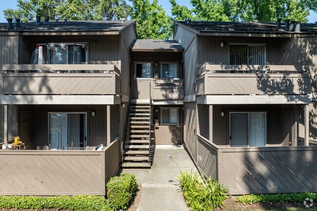 Entrada - Shasta Terrace