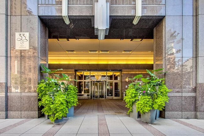 Building Photo - 33 W Ontario St Unit 32H Rental