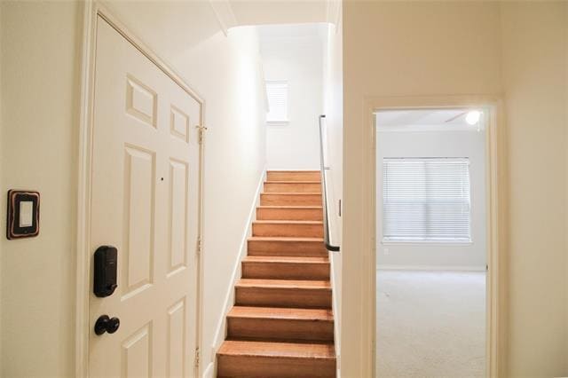 Photo - 5014 Calloway Dr