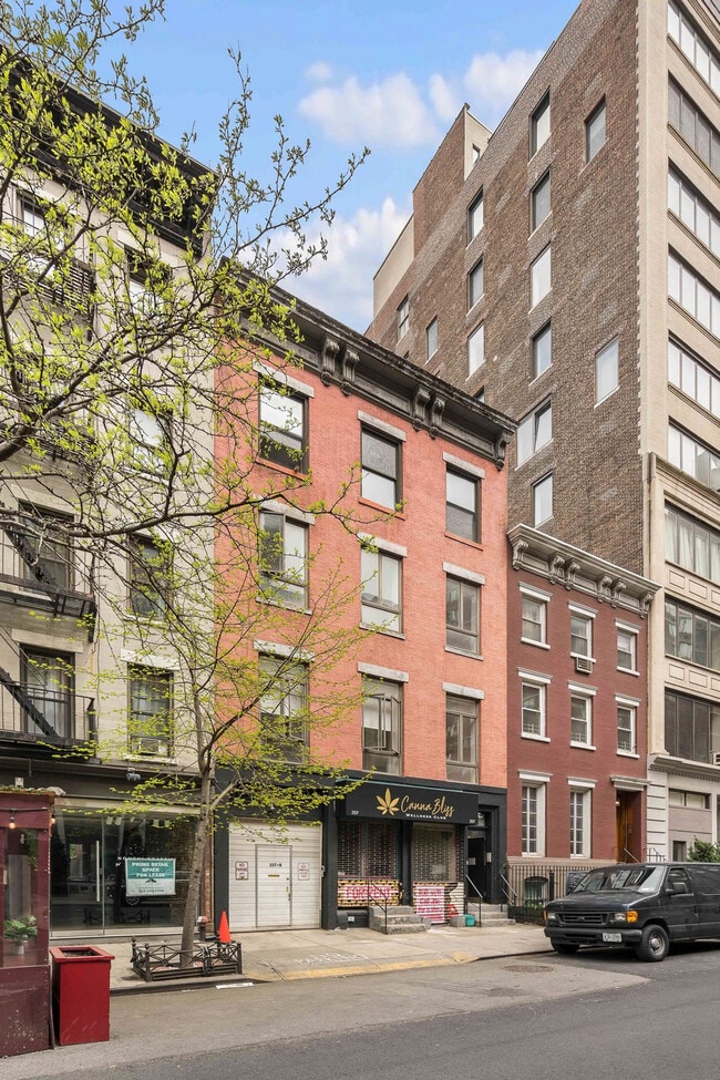Photo - 257 W 19th St Unidad SI ID1224969P