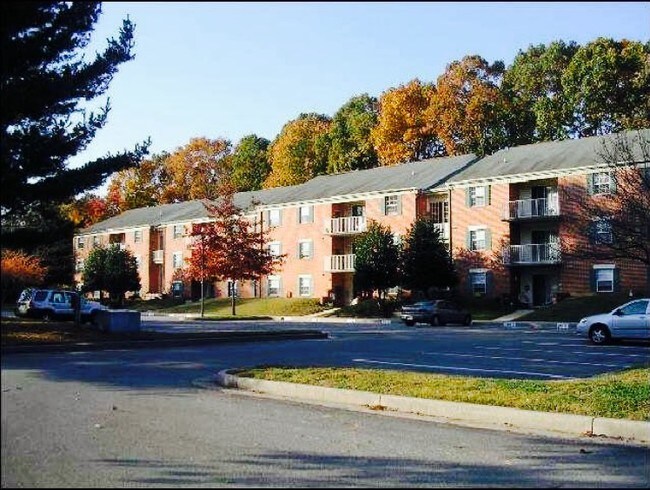 College Lane Apartments - College Lane Apartments