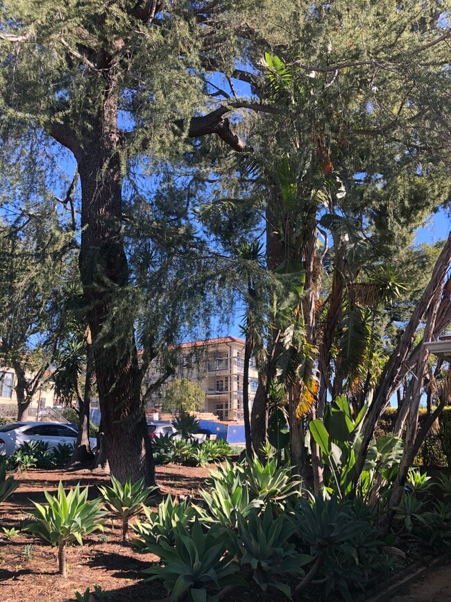 street view - 792 Alameda St Unit 792