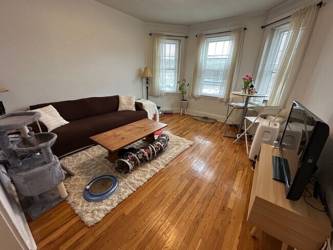 Photo - Close to Whole Foods - T Stop - Large Living Room - Natural Sun Light Unit 11