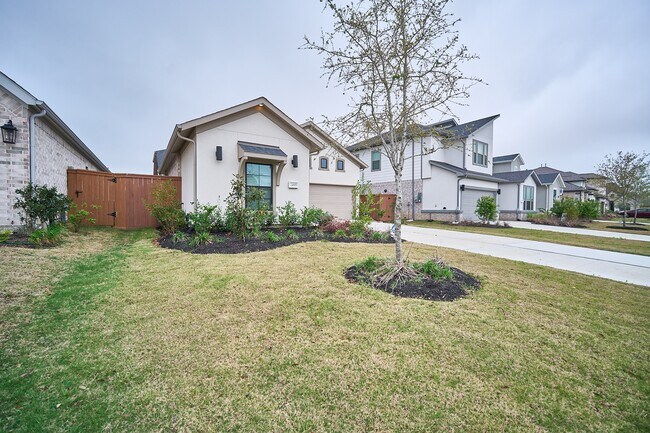 Photo - 24819 Yellow Spruce Cir