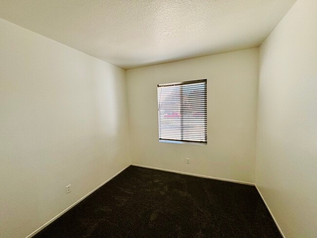 Photo - 37306 Wild Tree St
