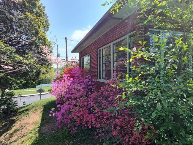 Photo - 470 Maple St