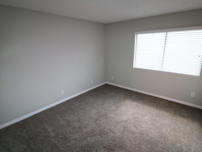 Photo - MARCH MADNESS Special! - Revive Medical District