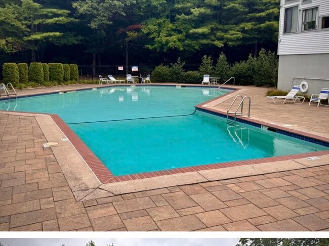 Building Photo - 4 Staunton Ct Unit Angelina Grimaldi Rental