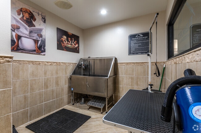 Dog Washing Station