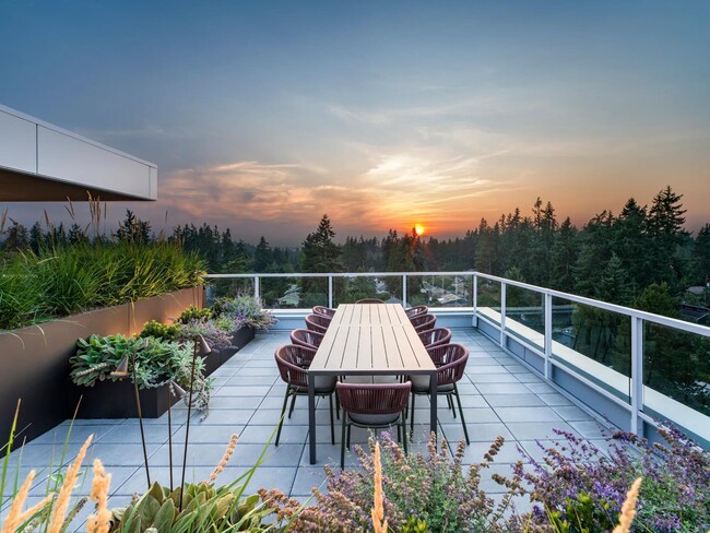 Take in sweeping treetop views from Modera Shoreline’s rooftop terrace—an inviting space to gather, dine, and watch the sunset over Puget Sound. - Modera Shoreline