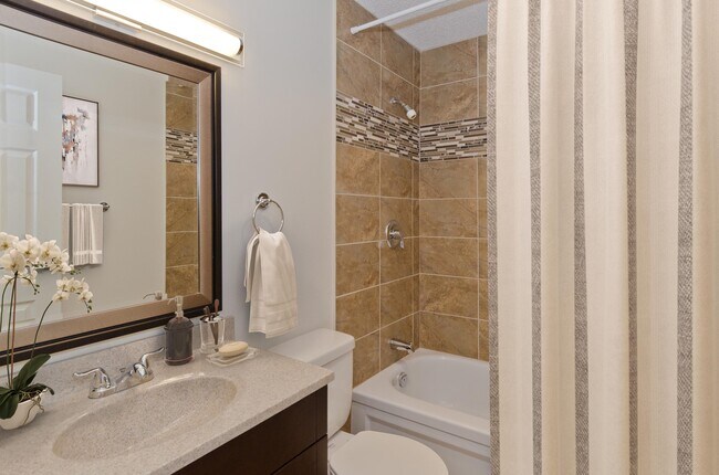 Photo - Village Vale