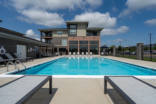 Swimming Pool and Loungers