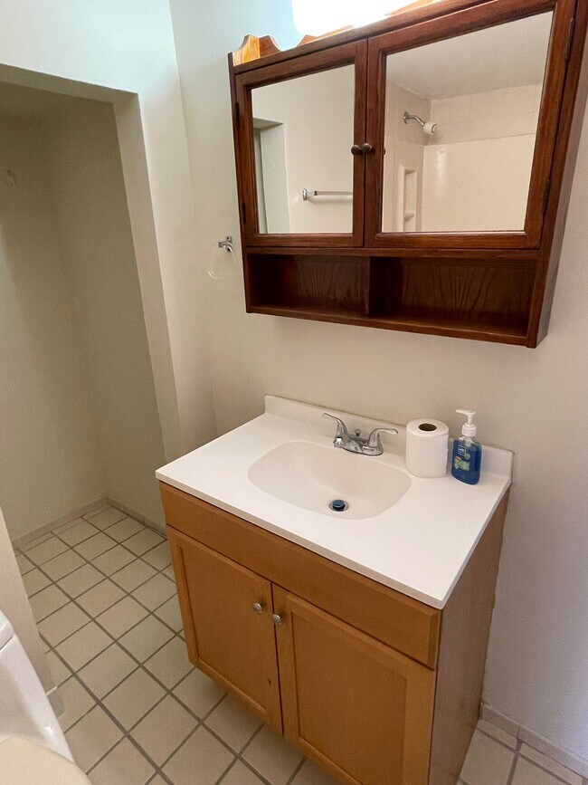 Bathroom Sink - 9 Manchester Ave Unit 1 Maria