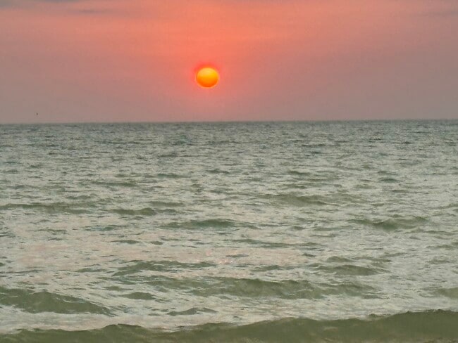 Photo - 1055 W Peppertree Dr Unit 5th