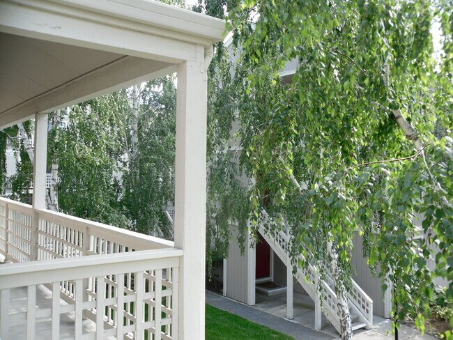 Grounds - 2701 Oak Rd Unit G