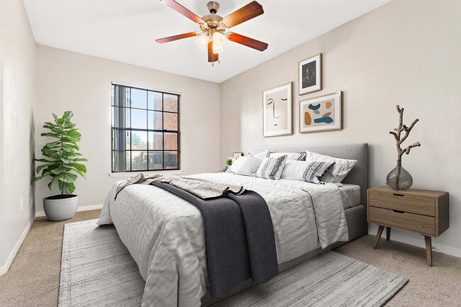 Photo - Conway Forest