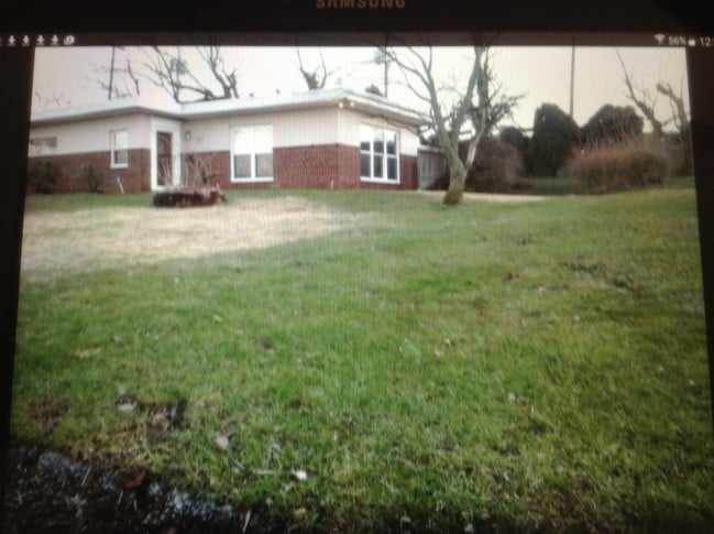 front of the house