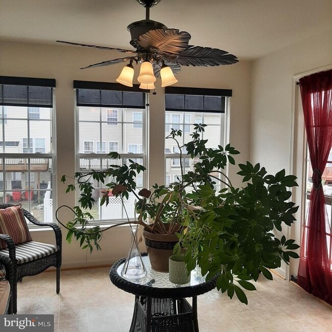 Photo - 1247 Mare St