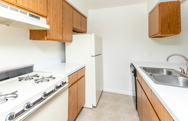 Photo - Ashton Pines