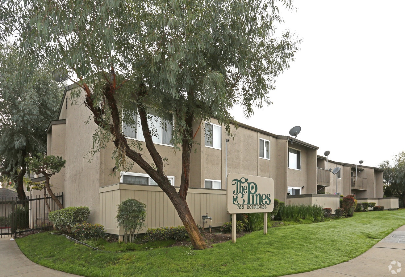 Photo - The Pines Apartments