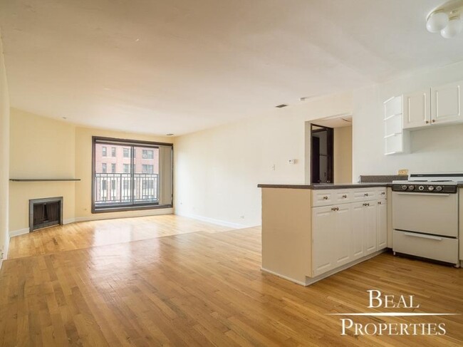 2 bedroom in CHICAGO IL 60610 - 2 bedroom in CHICAGO IL 60610 Unidad J5 Rental