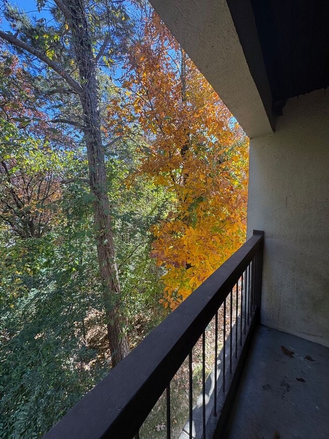 Photo - Questions please contact Joshua LaFever 501-230-6424