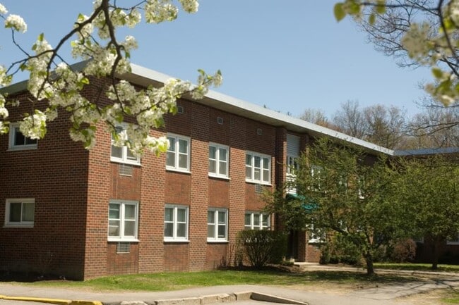 Davis Commons