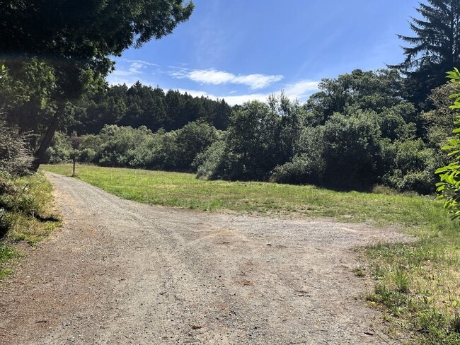 Photo - Pet-Friendly Private Home On Large Lot With Detached Garage!