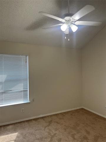 Photo - 803 Bluebonnet Dr
