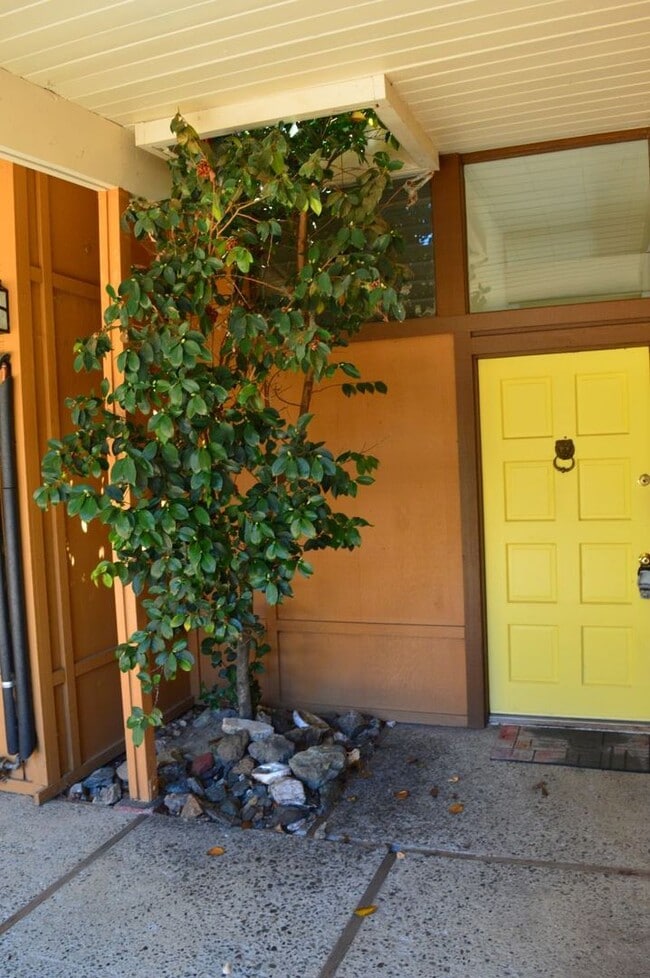 Photo - Comfortable Mid Century Modern Home with B...