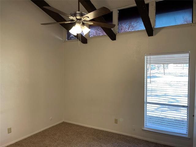 Photo - 1801 Romack Ct