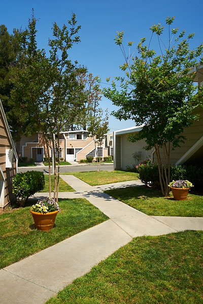 Park Vista Apartment Homes