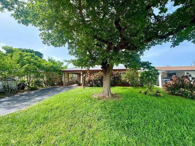 Photo - 51 NE 49th St