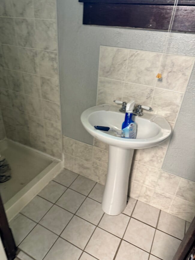 Down Stairs Bathroom - 119 Butternut Ave