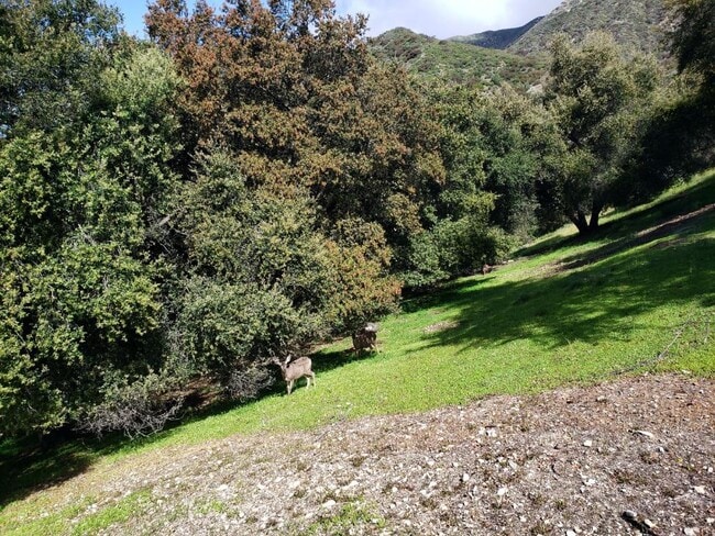 Photo - 2327 Dorothy St