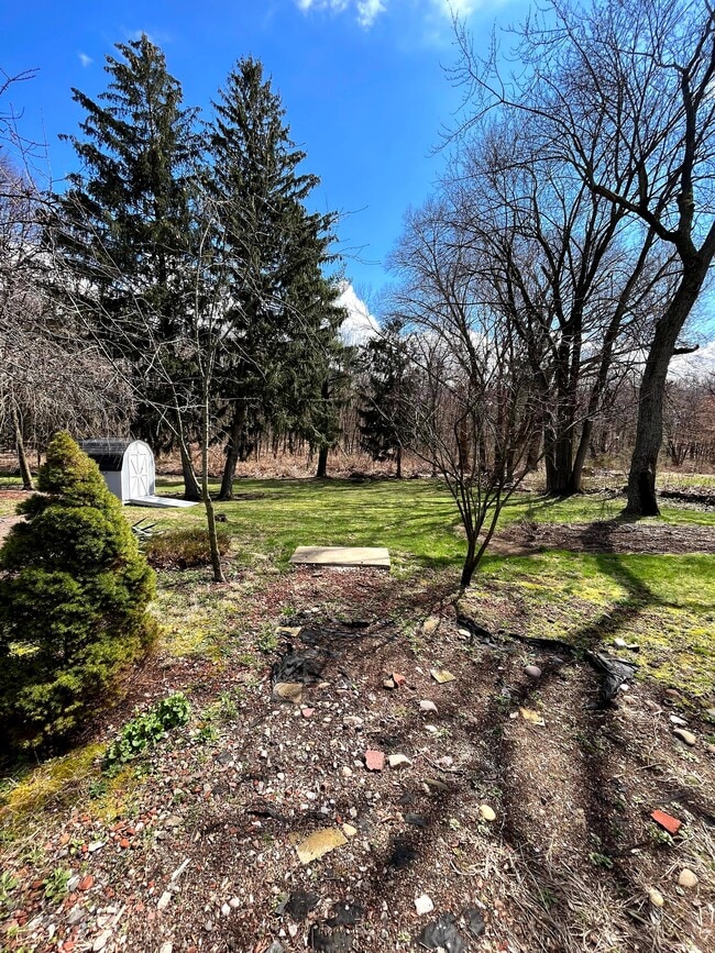 Backyard Garden - 218 Charter Oak St Unit 218