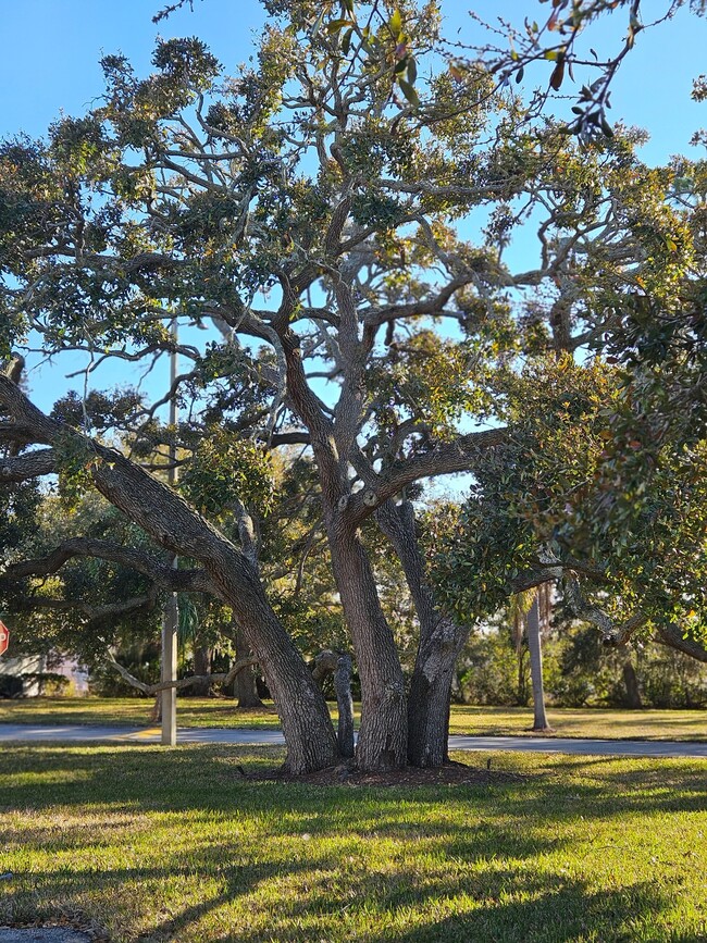 Photo - 129 Camphor Cir Unidad F