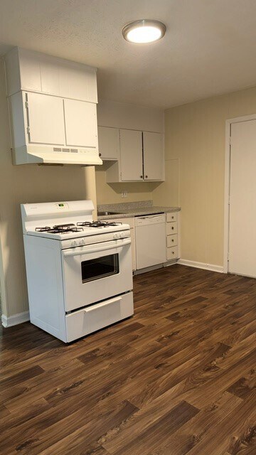 1BR Efficiency - Kitchen
