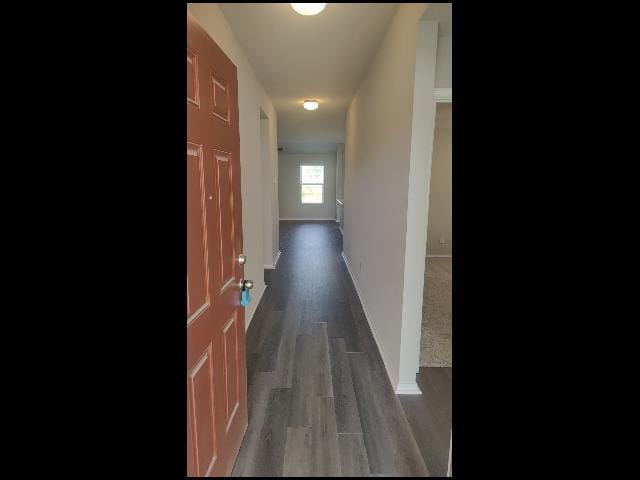 Photo - 10413 Lori Kaye Dr