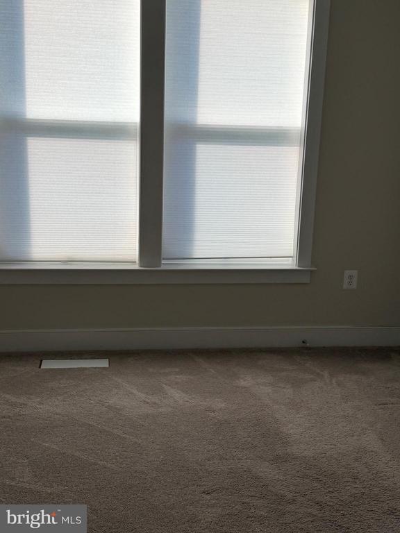 Photo - 539 Shorthorn Way