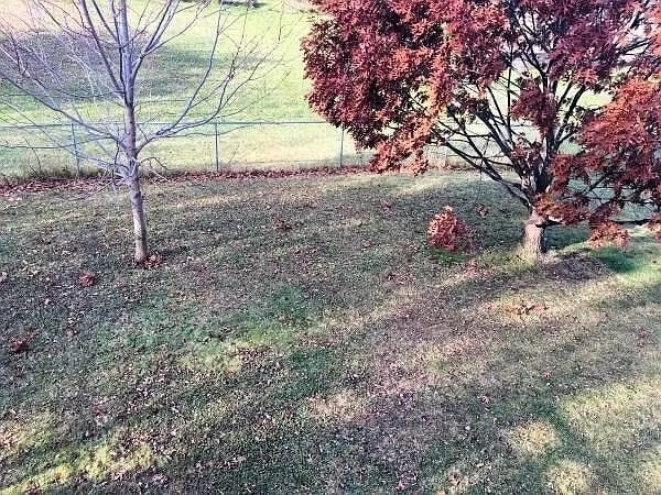 Photo - 1074 Regency Dr