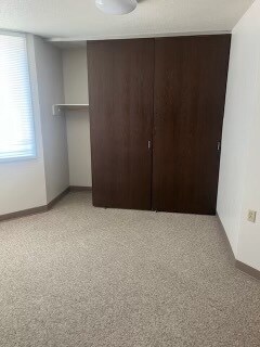 Photo - Woodland Park - Holstein