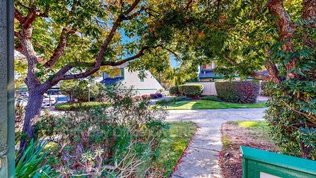 Photo - 539 Norlee St