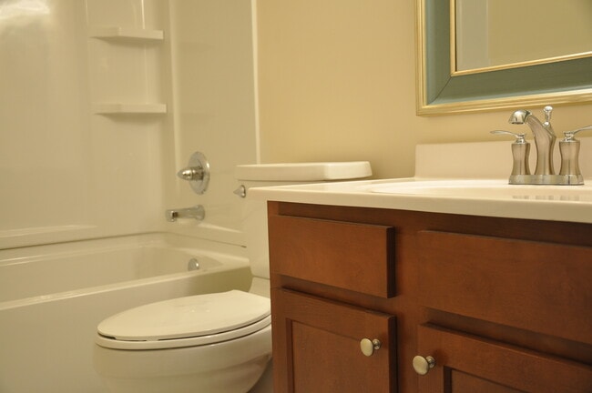 Photo - Barbaro - Pre-Leasing Now for the Fall Sem...