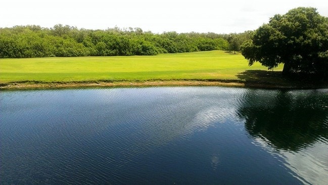 Building Photo - 2333 Feather Sound Dr Unit C-101