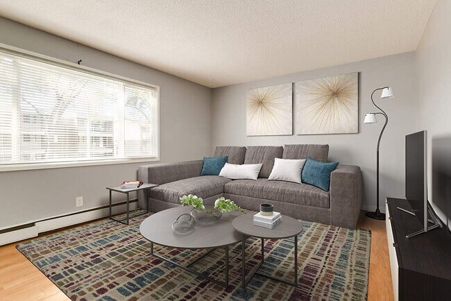 Photo - Michael Manor