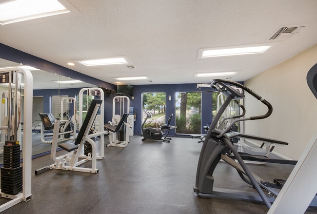 Gimnasio