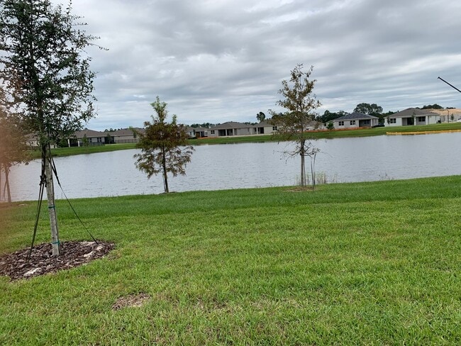 Photo - 17841 Blazing Star Cir