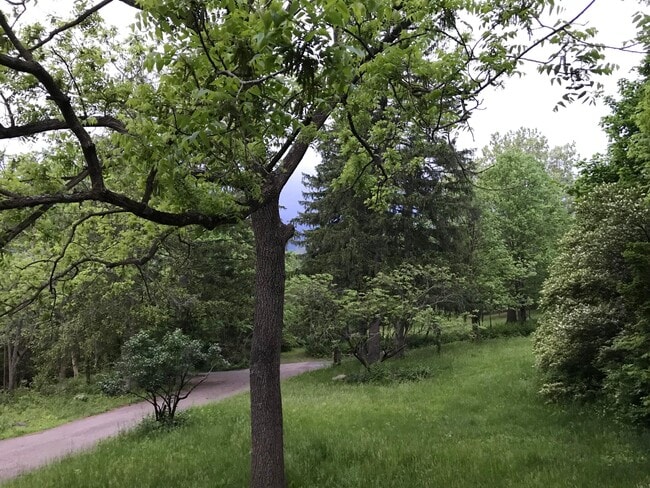 Photo - 7049 Riverside Dr